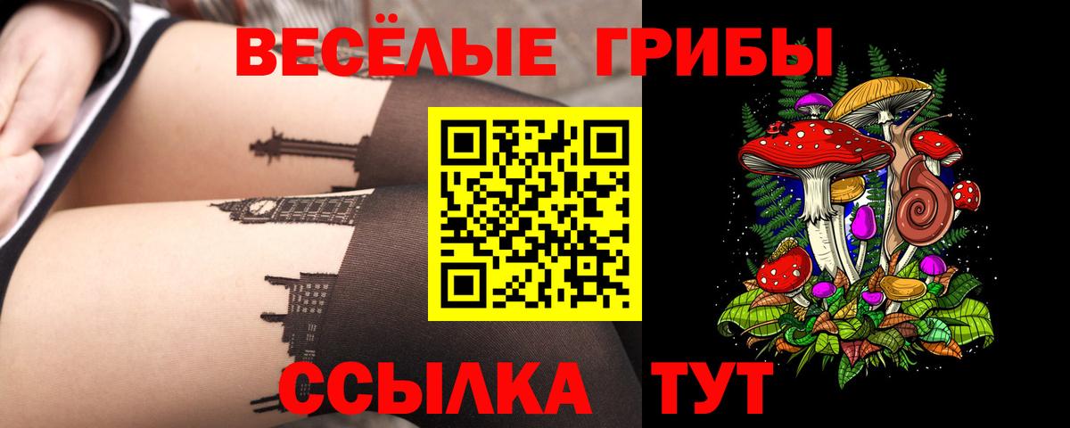 даркнет сайт  Вход с VPN  Россошь  Галлюциногенные грибы мицелий 